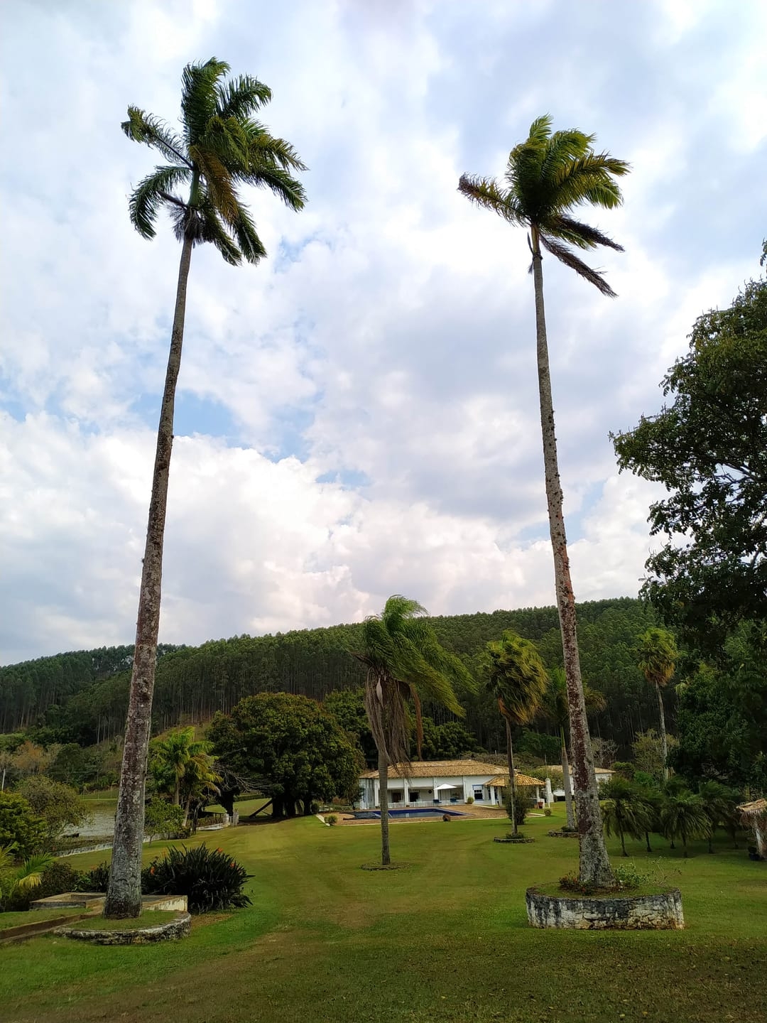 Fazenda, 600 hectares - Foto 8