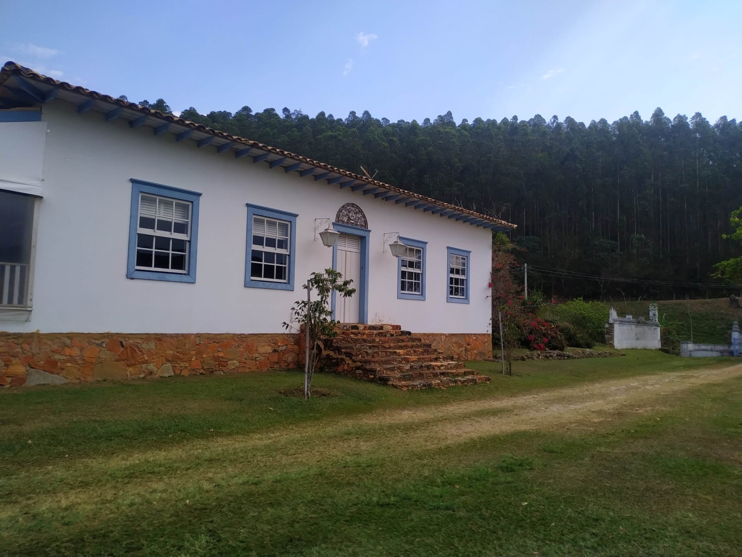 Fazenda, 600 hectares - Foto 14