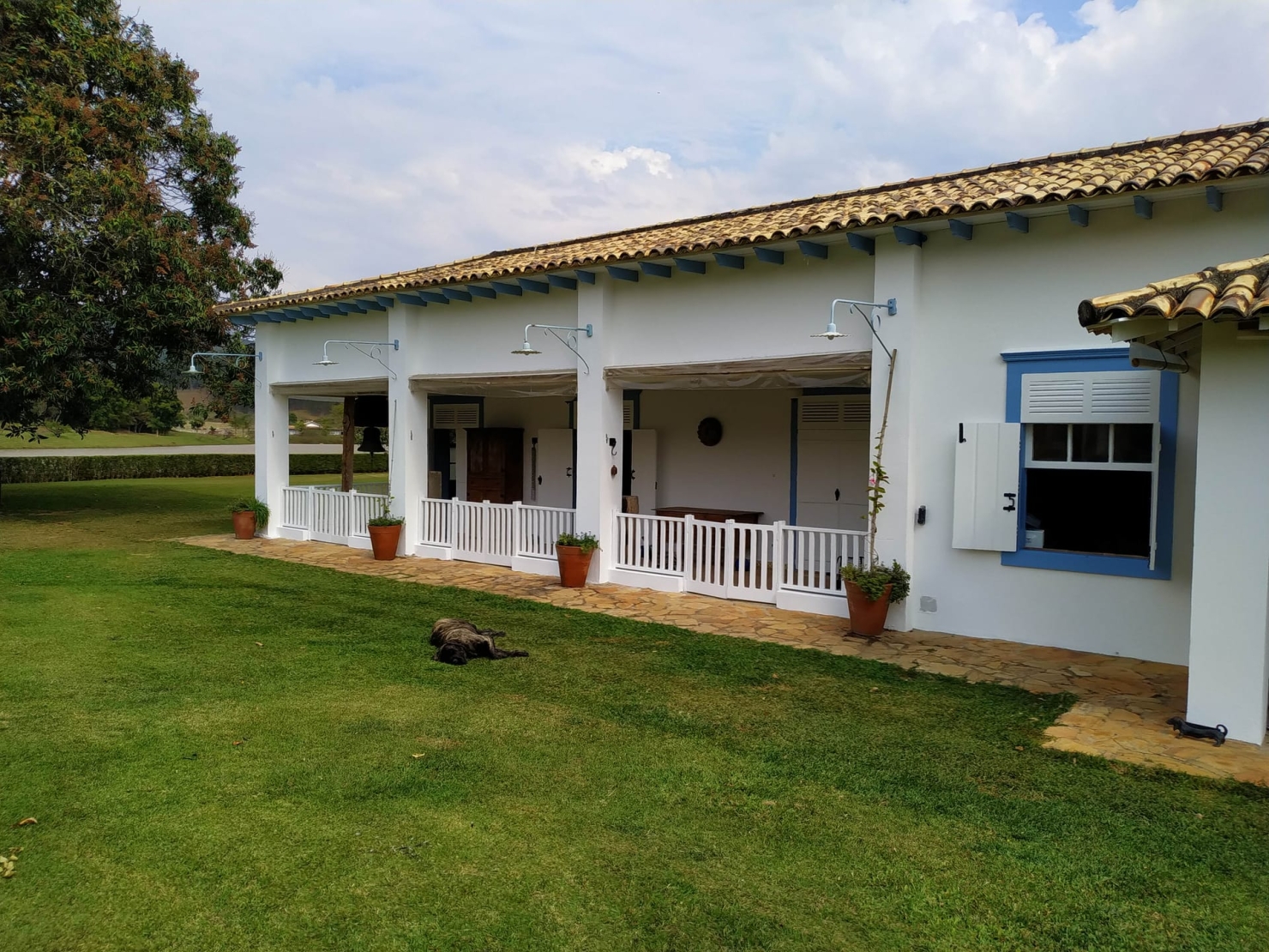 Fazenda, 600 hectares - Foto 25