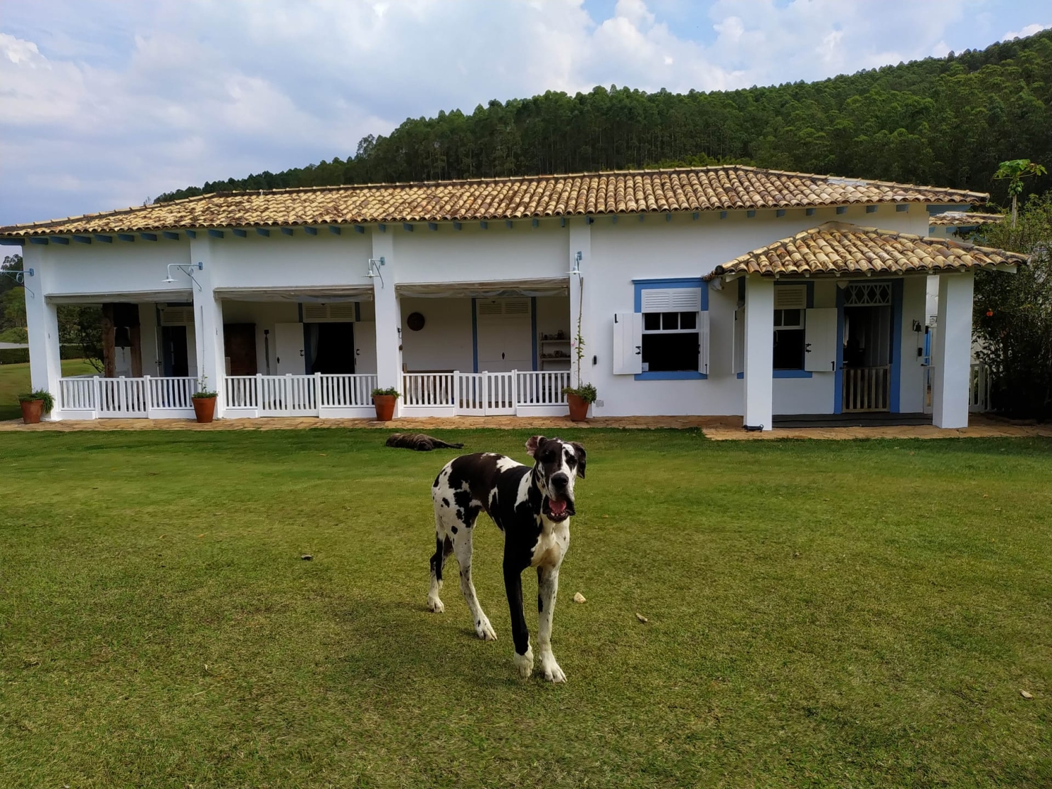 Fazenda, 600 hectares - Foto 26