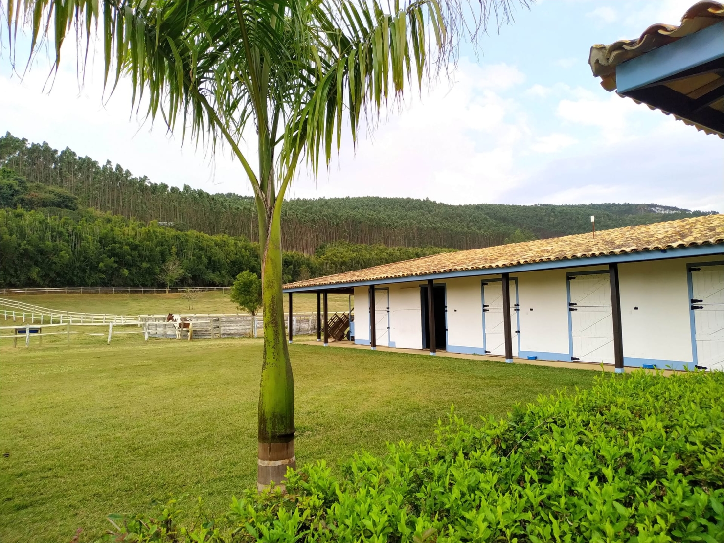 Fazenda, 600 hectares - Foto 27