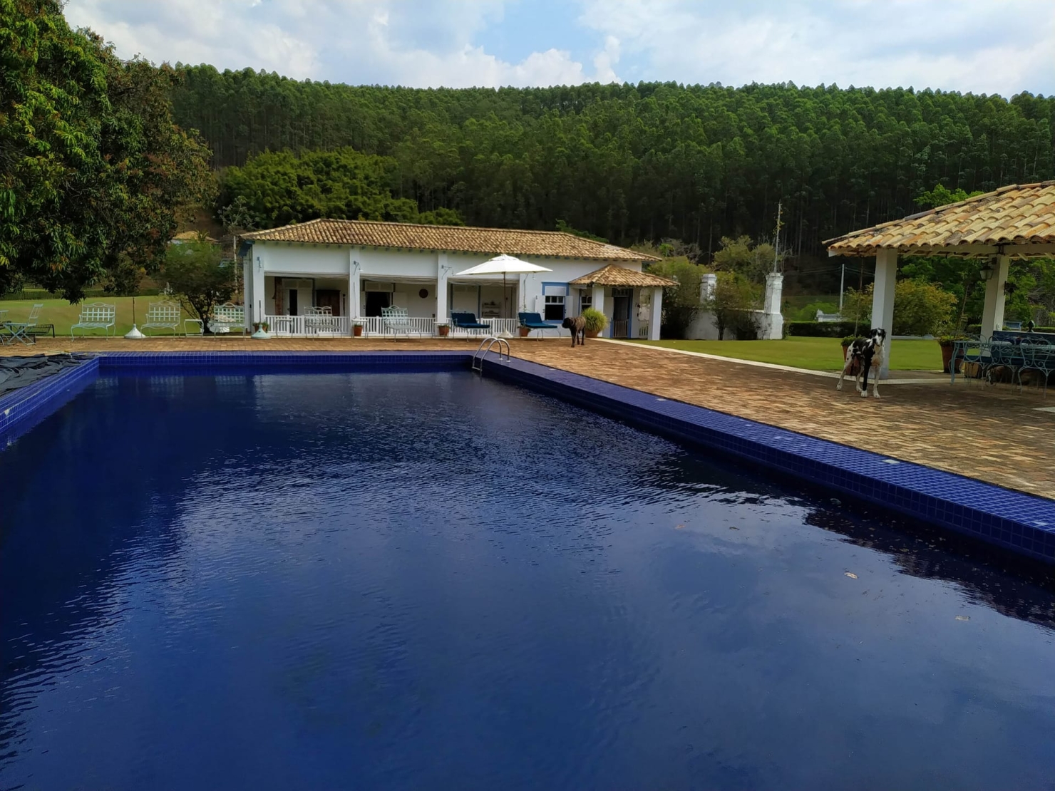 Fazenda, 600 hectares - Foto 31