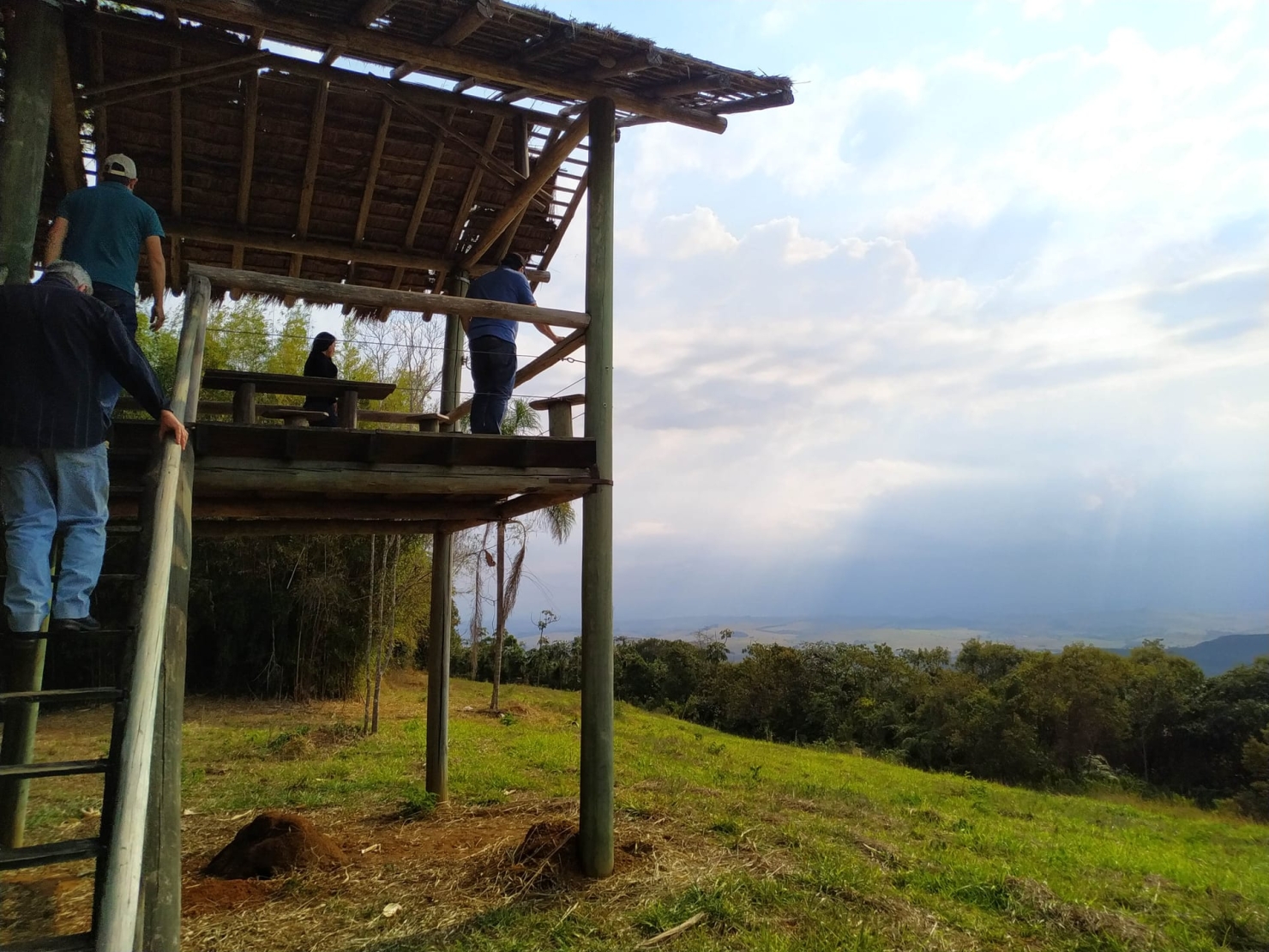 Fazenda, 600 hectares - Foto 36