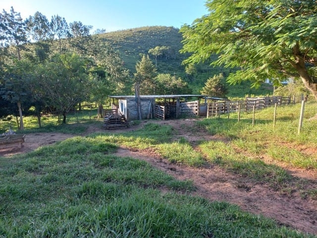 Terreno, 12 hectares - Foto 2