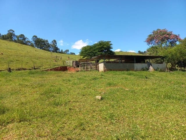 Terreno, 12 hectares - Foto 7