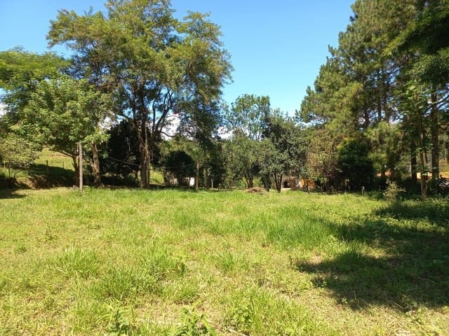 Terreno, 12 hectares - Foto 8