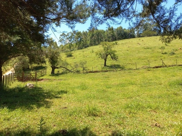 Terreno, 12 hectares - Foto 9