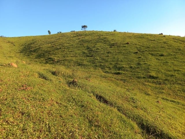 Terreno, 12 hectares - Foto 12