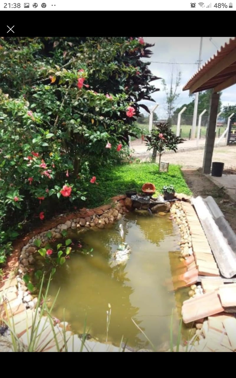 Chácara à venda com 2 quartos, 2000m² - Foto 5