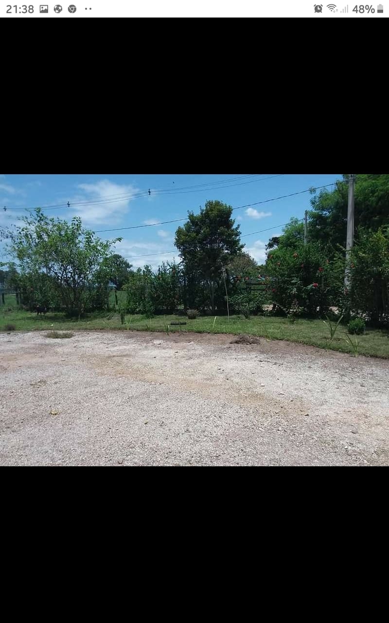 Chácara à venda com 2 quartos, 2000m² - Foto 7