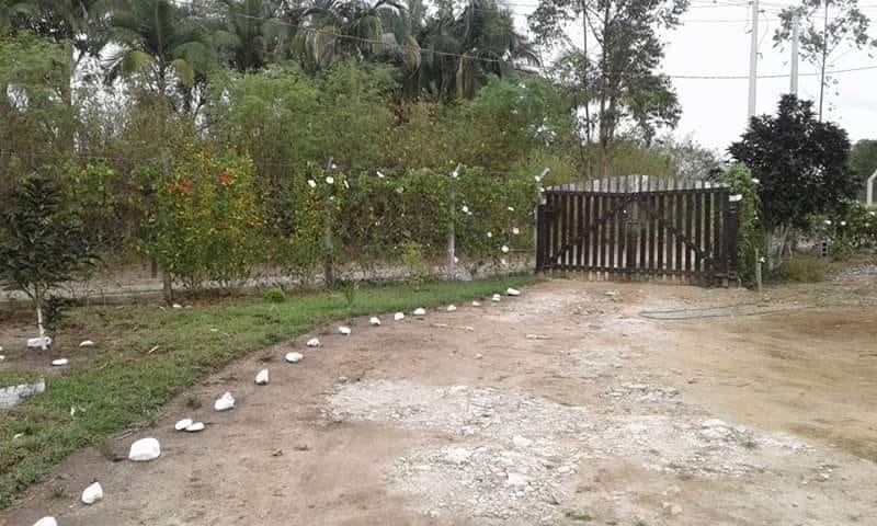 Chácara à venda com 2 quartos, 2000m² - Foto 14