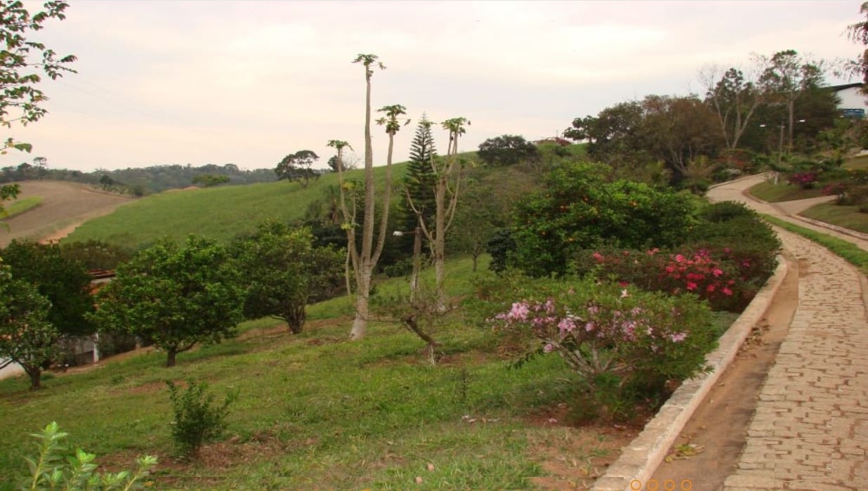 Sítio, 4 quartos, 8 hectares - Foto 47