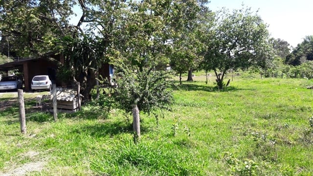 Chácara à venda com 3 quartos, 277m² - Foto 2