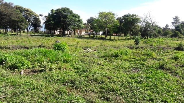 Chácara à venda com 3 quartos, 277m² - Foto 7