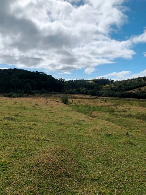 Terreno, 2 hectares - Foto 4