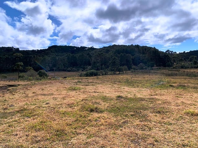 Terreno, 2 hectares - Foto 13