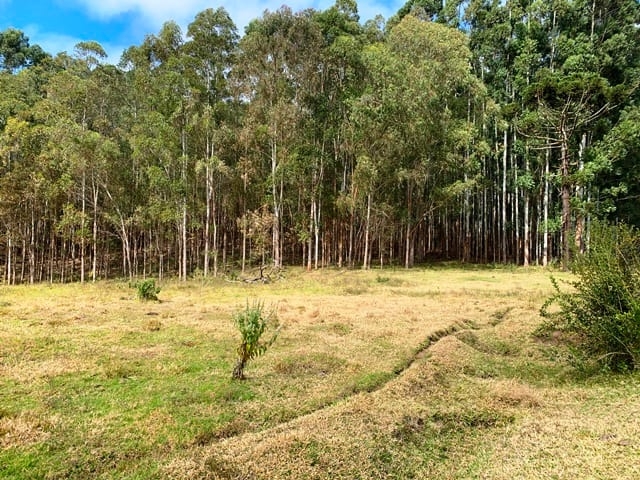 Terreno, 2 hectares - Foto 14