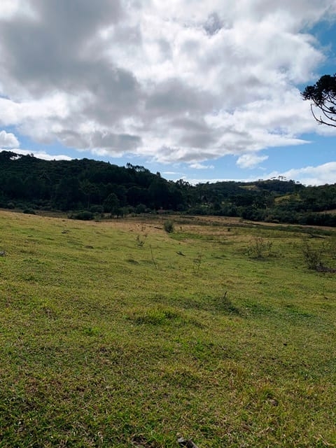 Terreno, 2 hectares - Foto 15