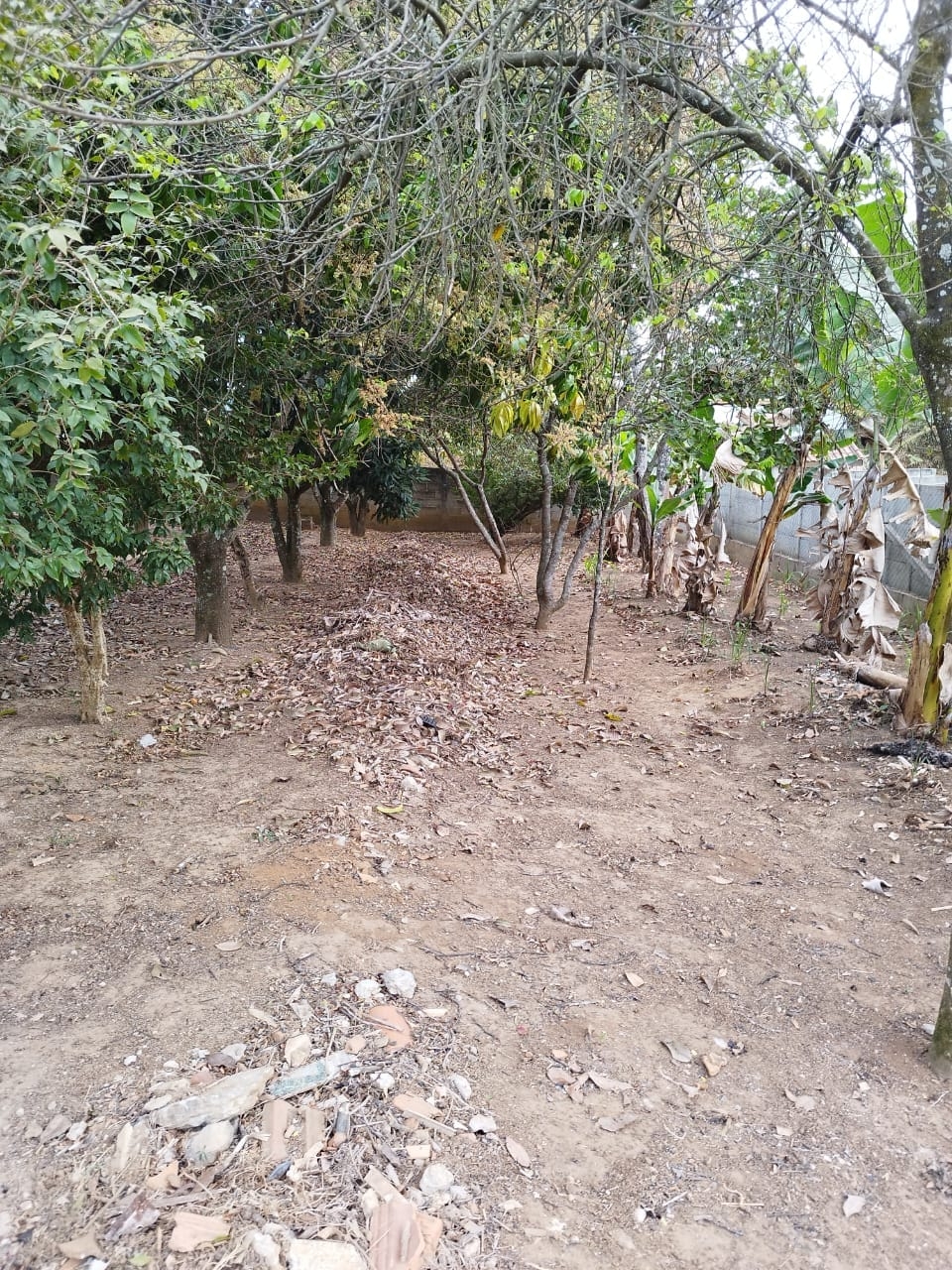 Chácara à venda com 1 quarto - Foto 3