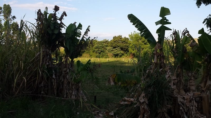 Terreno, 1550 m² - Foto 1