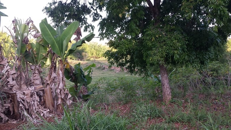 Terreno, 1550 m² - Foto 3