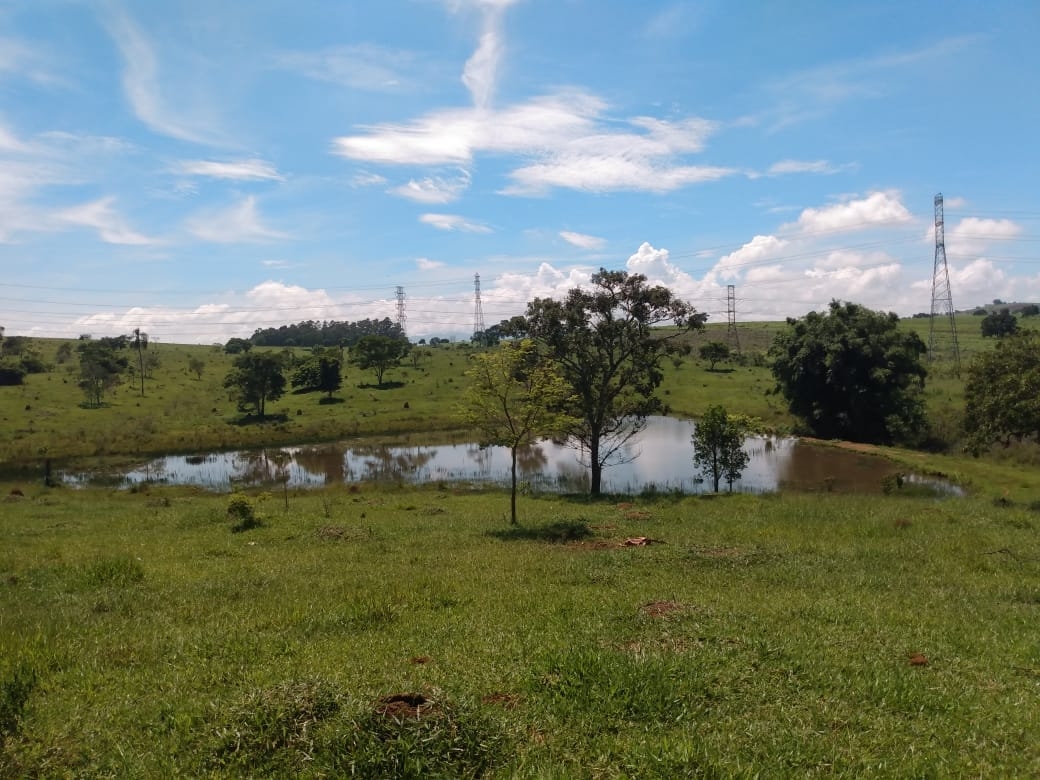 Terreno à venda, 121000m² - Foto 1