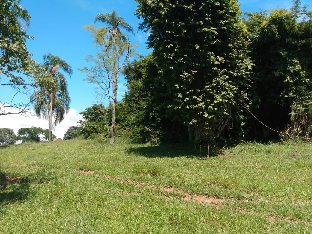 Terreno à venda, 121000m² - Foto 3