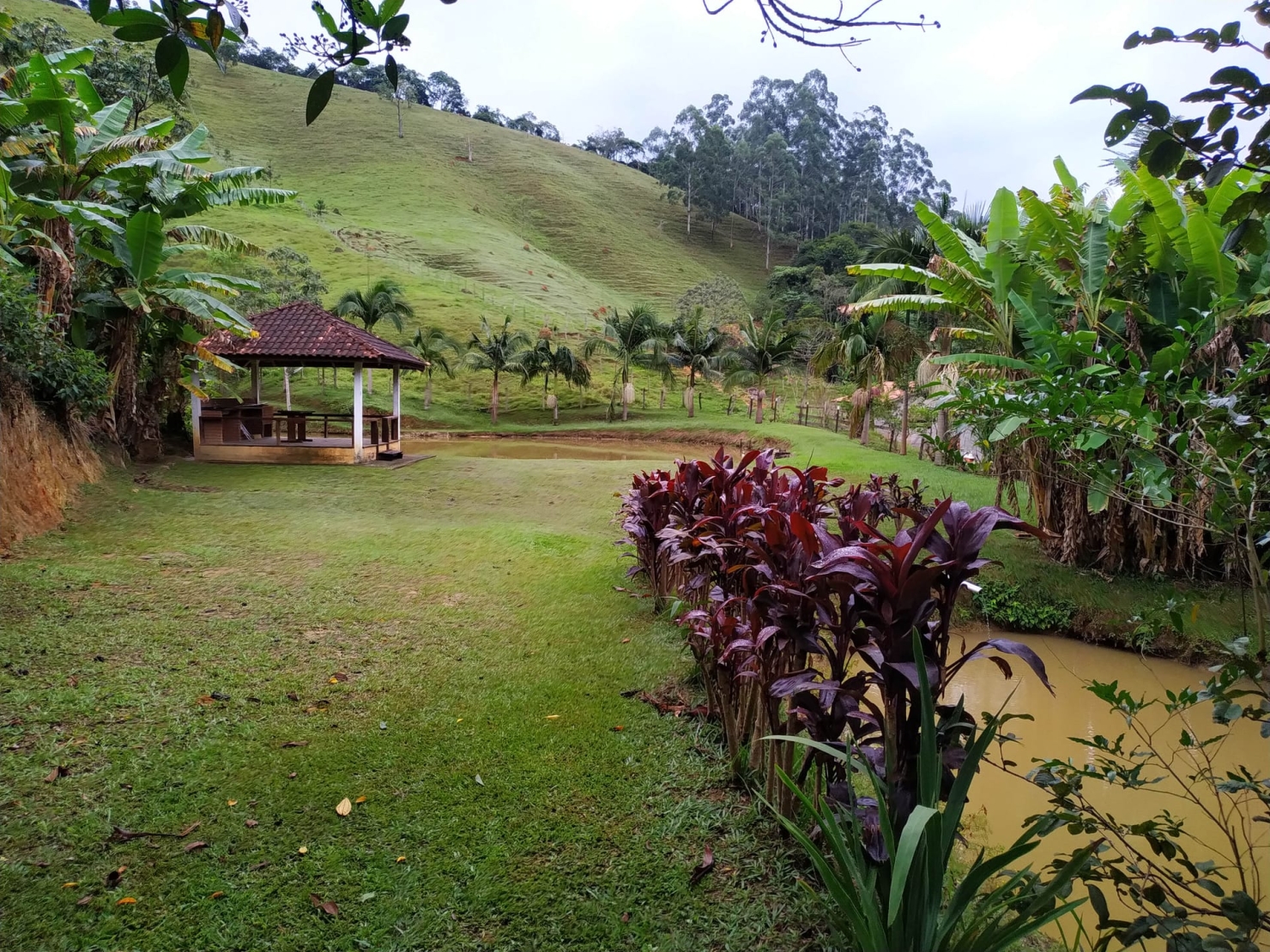 Sítio, 3 quartos, 3 hectares - Foto 3