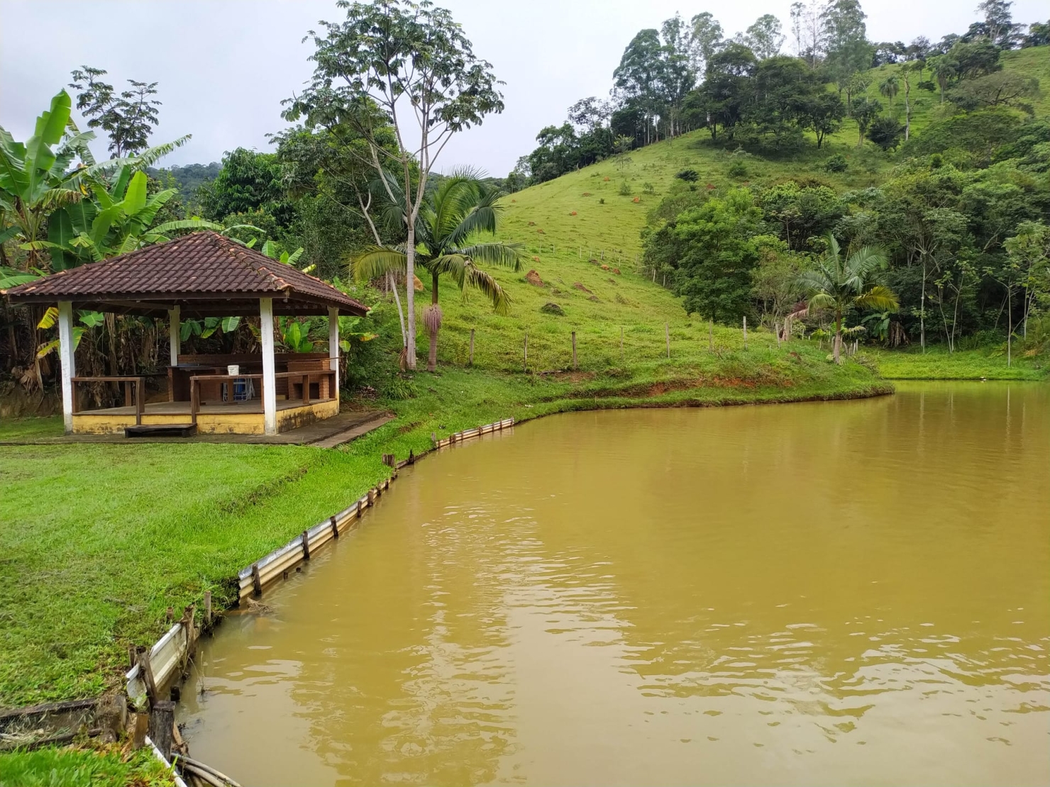 Sítio, 3 quartos, 3 hectares - Foto 8