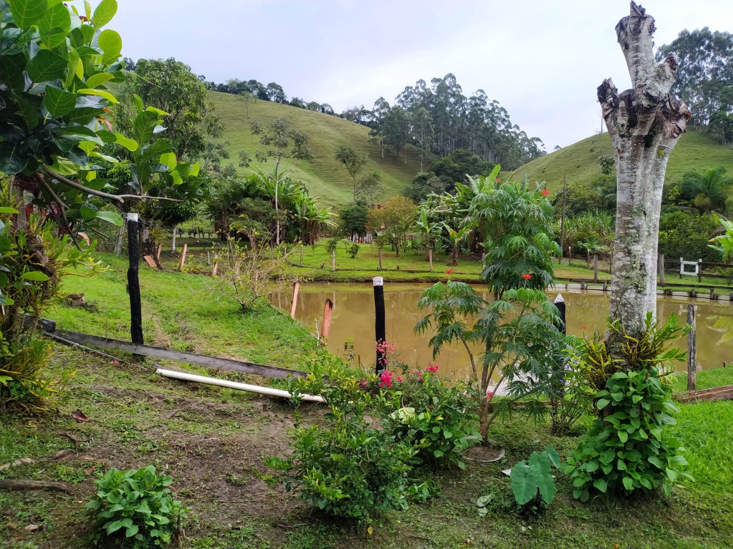 Sítio, 3 quartos, 3 hectares - Foto 10