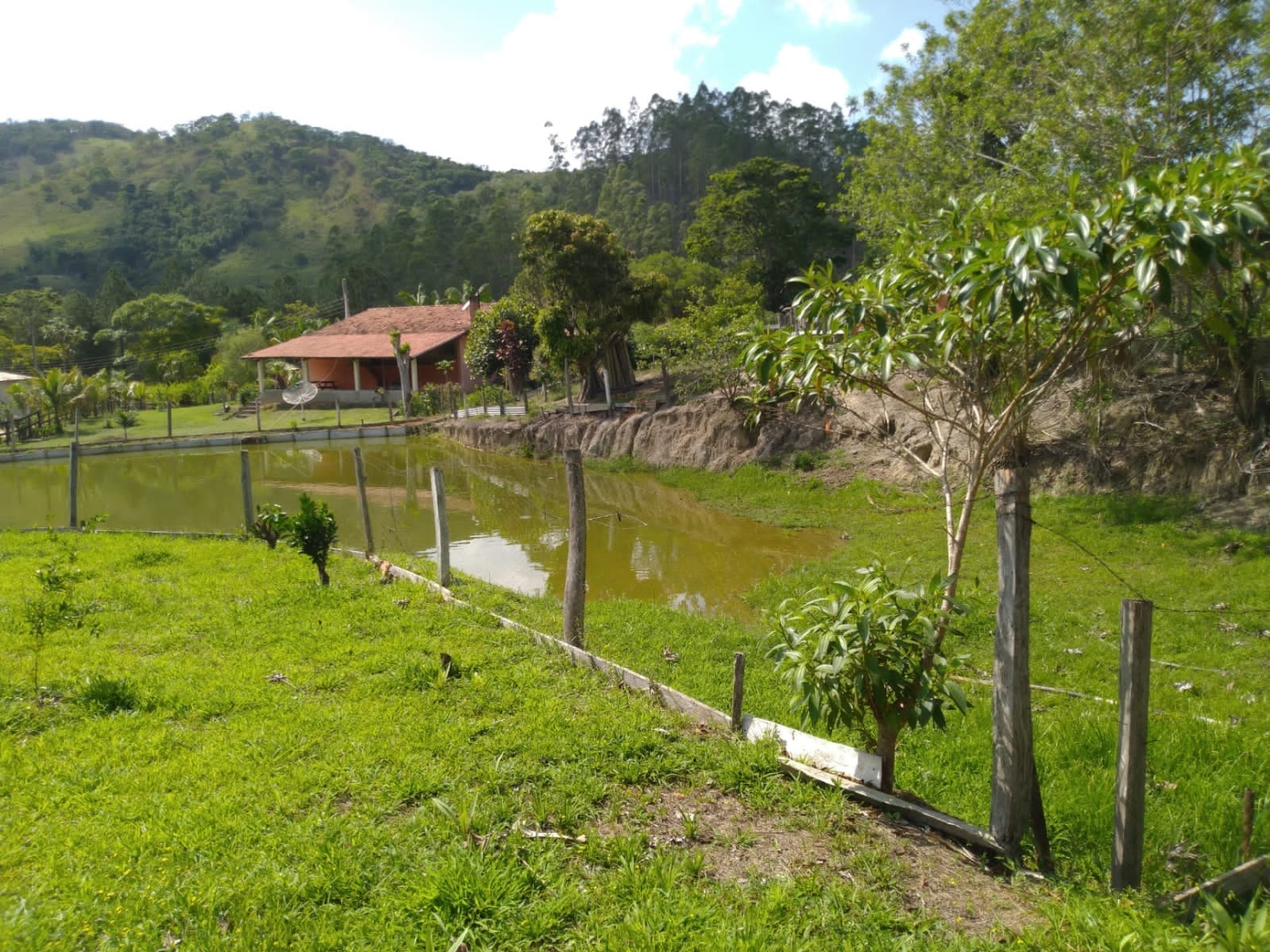 Sítio, 3 quartos, 3 hectares - Foto 12
