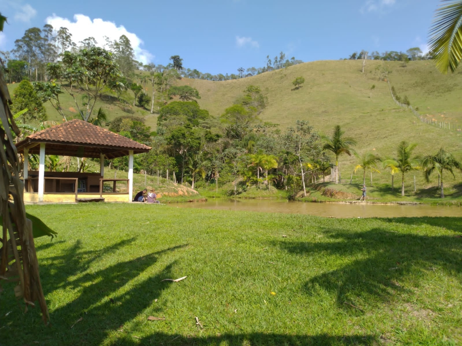 Sítio, 3 quartos, 3 hectares - Foto 14