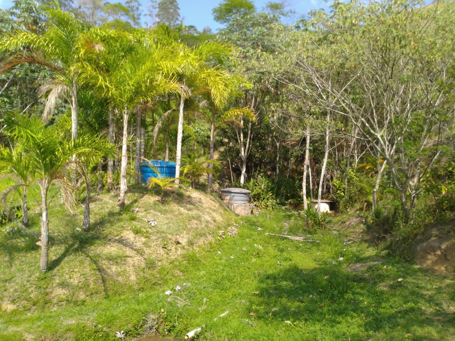 Sítio, 3 quartos, 3 hectares - Foto 17