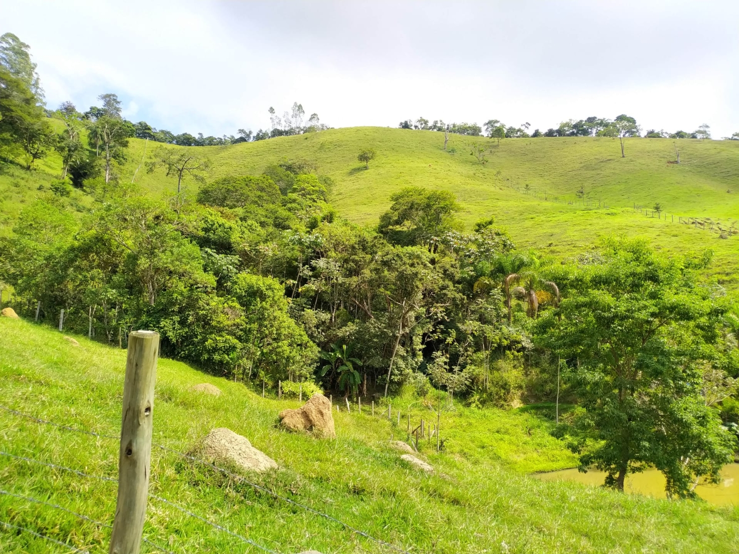 Sítio, 3 quartos, 3 hectares - Foto 31