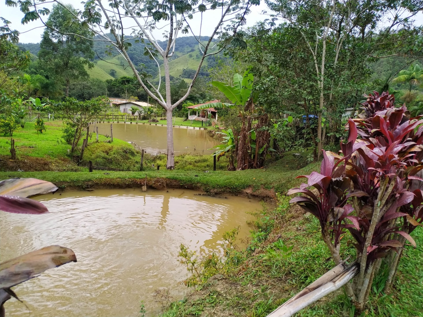 Sítio, 3 quartos, 3 hectares - Foto 35