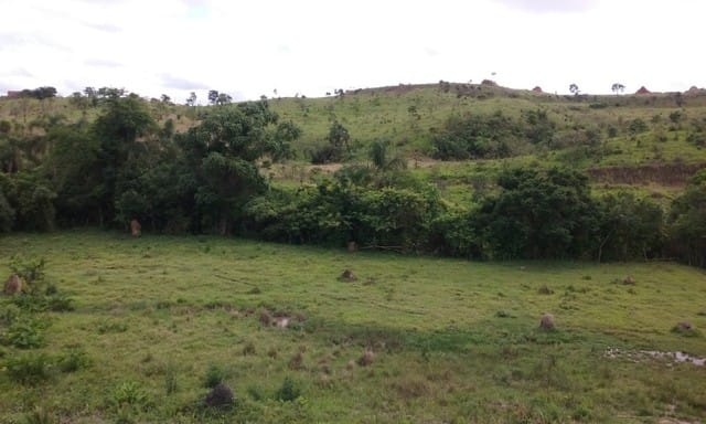 Terreno, 7 hectares - Foto 1