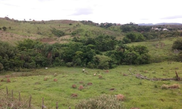 Terreno, 7 hectares - Foto 2