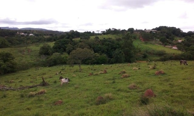 Terreno, 7 hectares - Foto 3