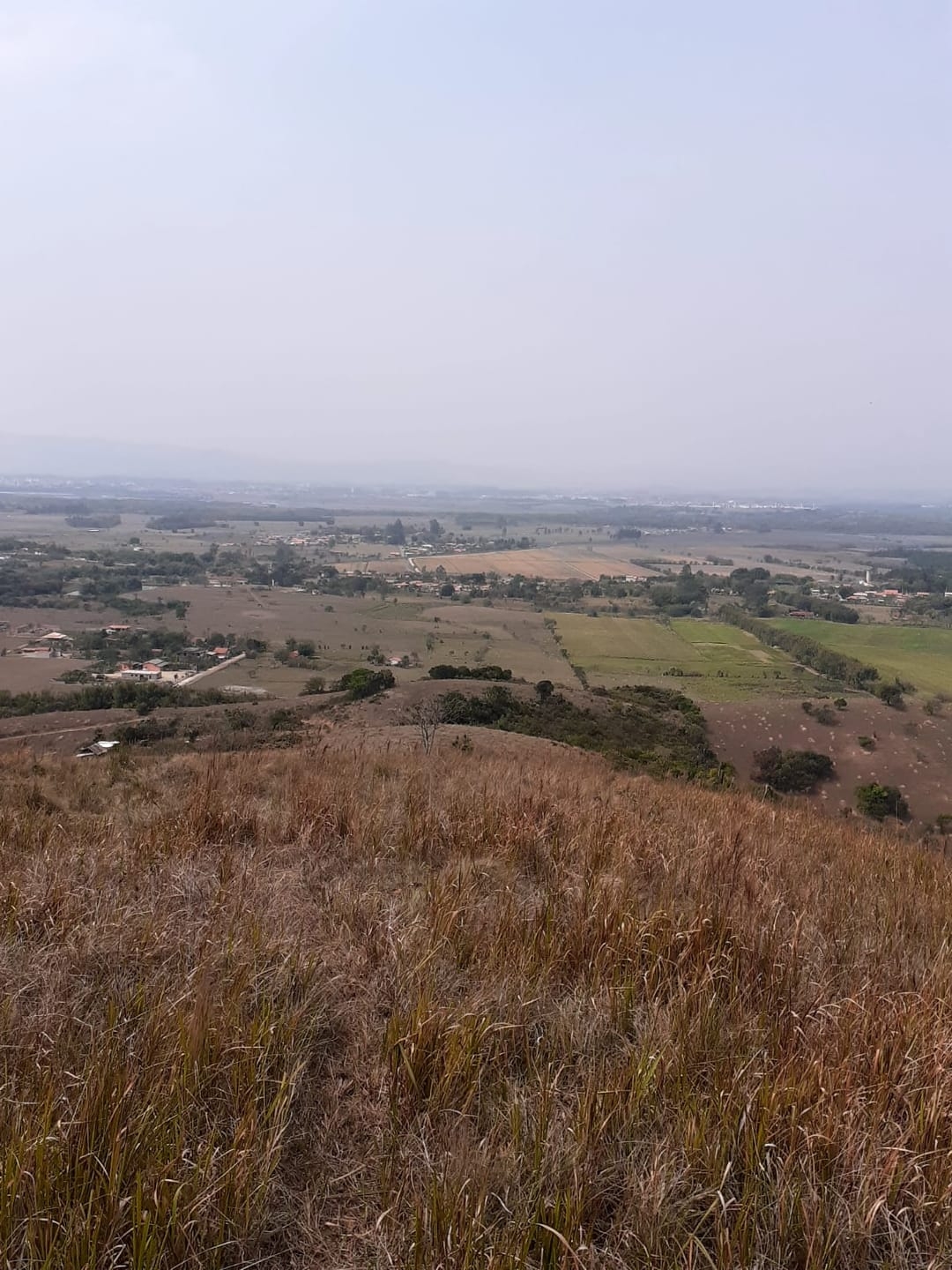 Terreno, 2 hectares - Foto 2