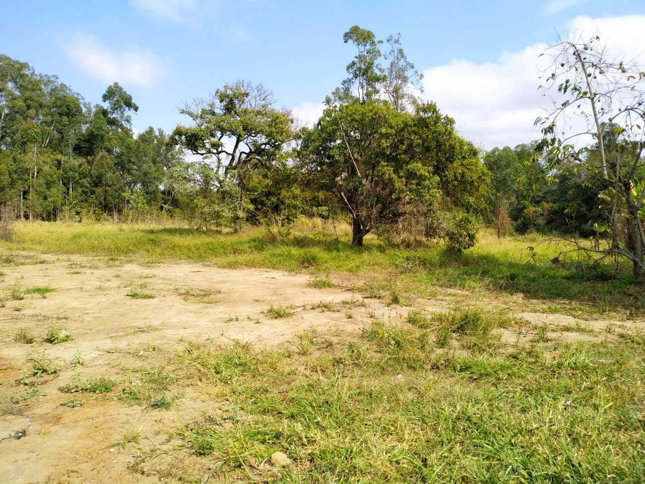 Sítio à venda com 7 quartos, 700m² - Foto 2