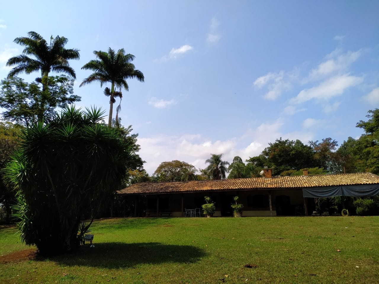 Sítio à venda com 7 quartos, 700m² - Foto 54