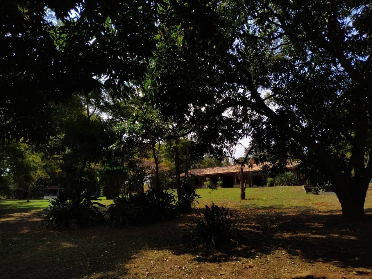 Sítio à venda com 7 quartos, 700m² - Foto 58