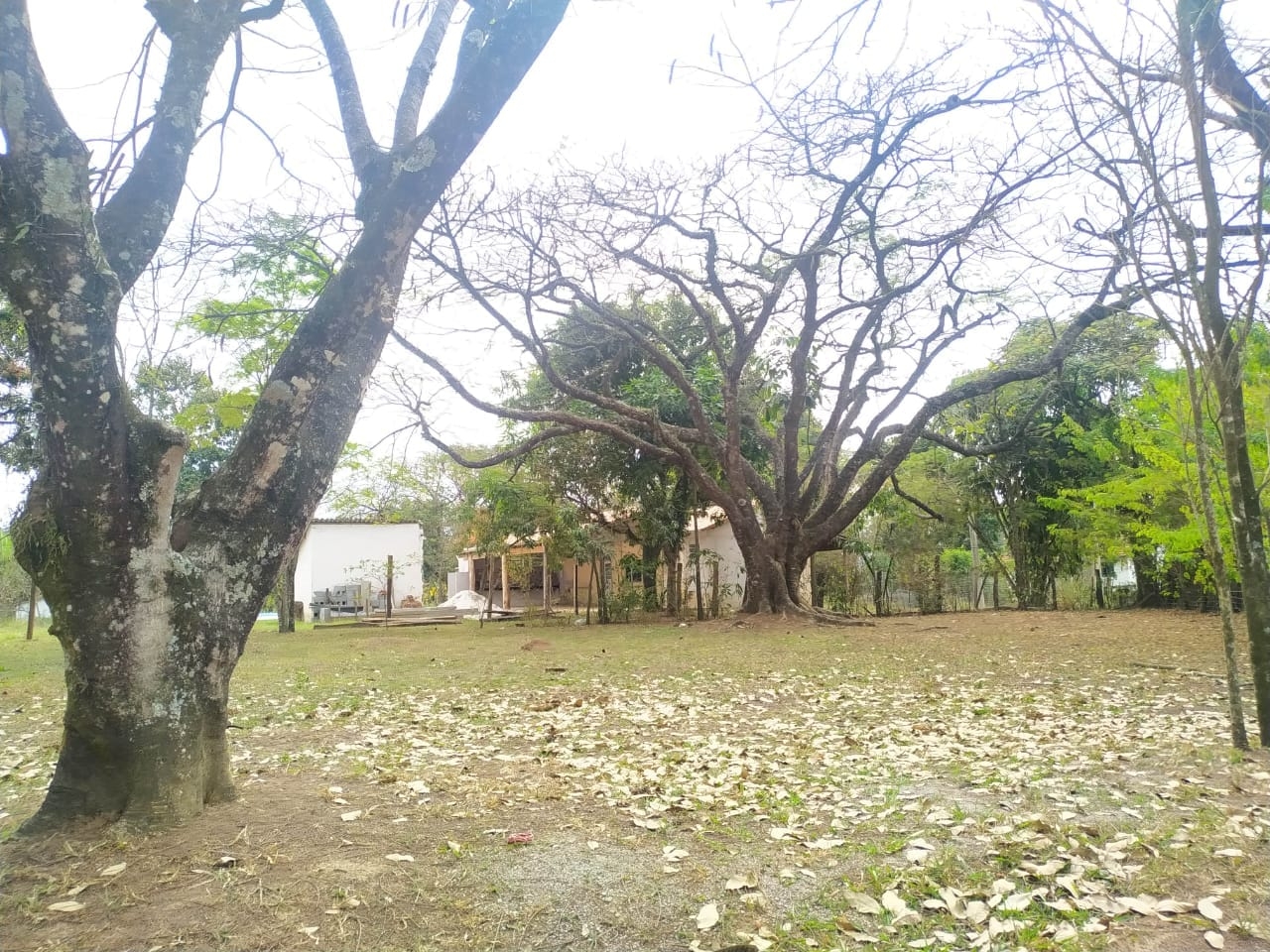 Sítio à venda com 7 quartos, 700m² - Foto 59