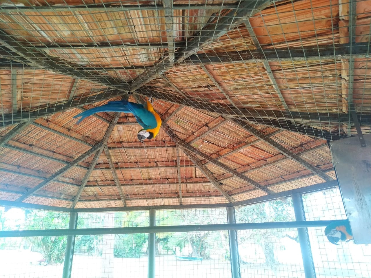 Sítio à venda com 7 quartos, 700m² - Foto 60