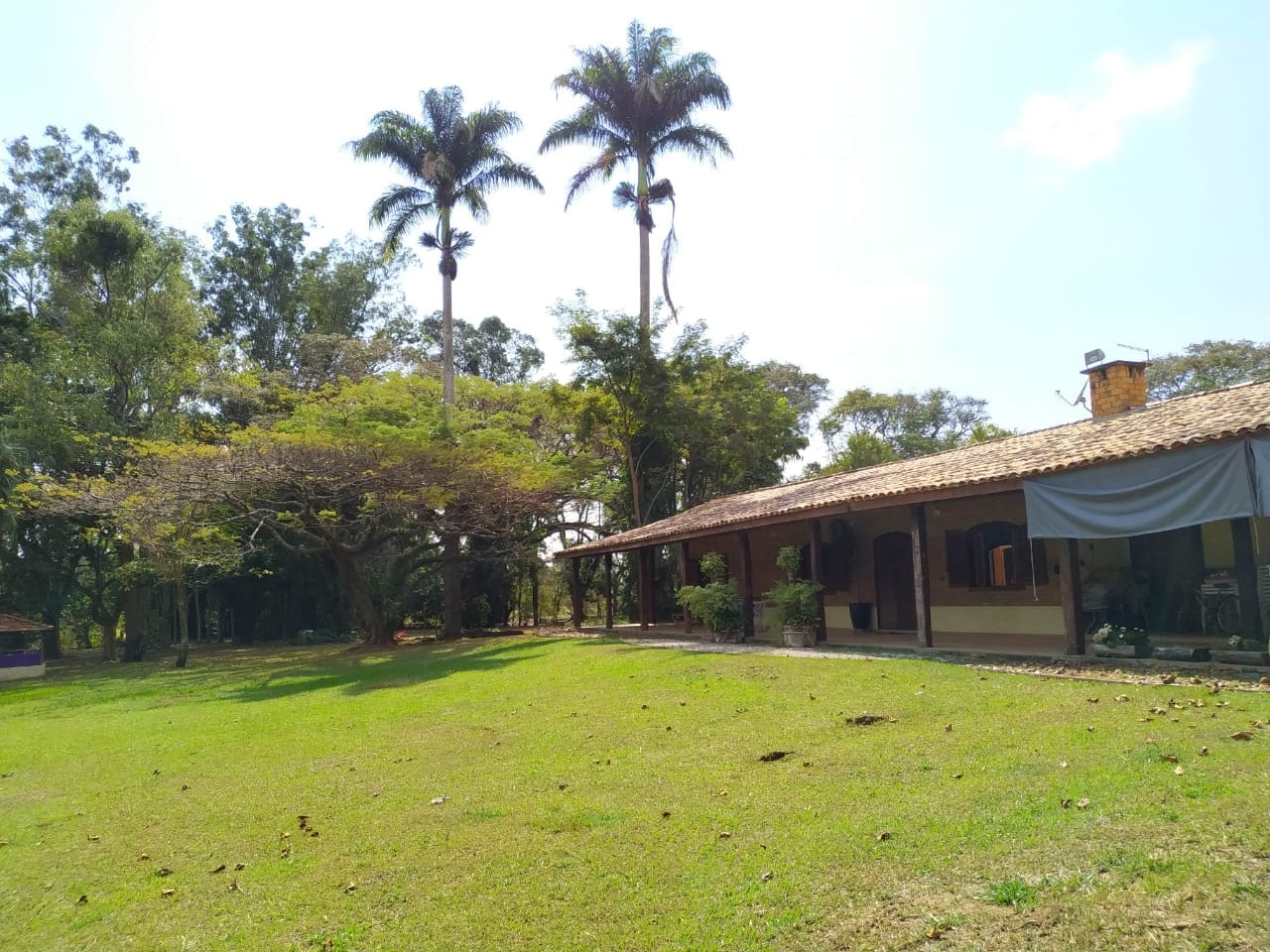 Sítio à venda com 7 quartos, 700m² - Foto 65