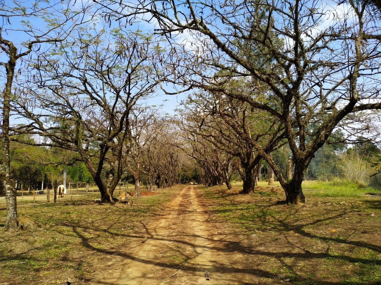 Sítio à venda com 7 quartos, 700m² - Foto 87