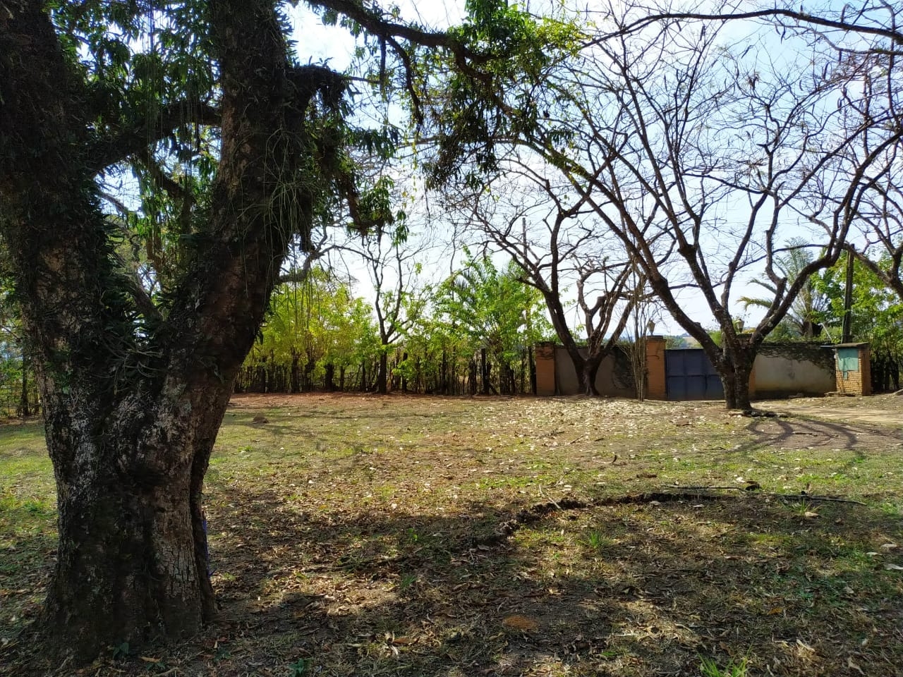 Sítio à venda com 7 quartos, 700m² - Foto 88