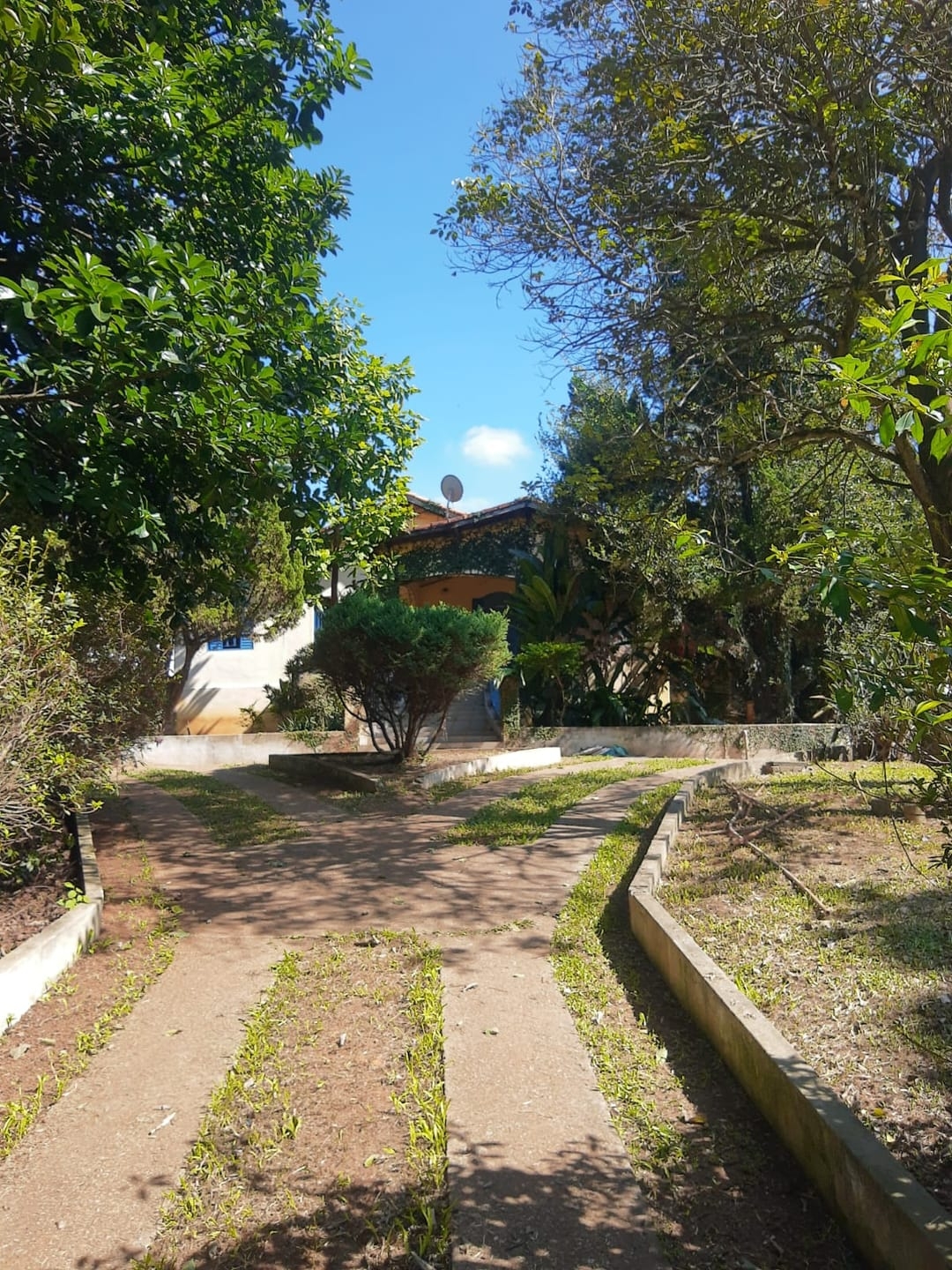 Sítio, 3 quartos, 2500 m² - Foto 1