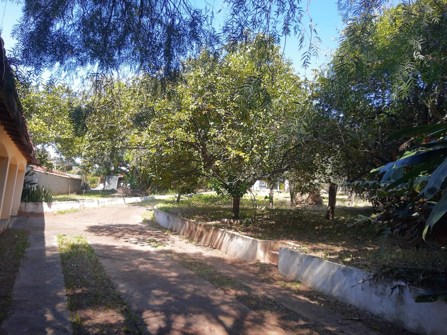 Sítio, 3 quartos, 2500 m² - Foto 2