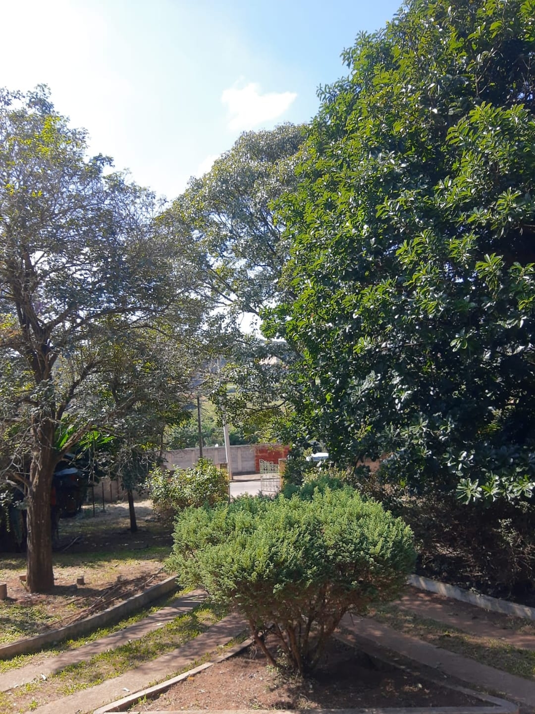 Sítio, 3 quartos, 2500 m² - Foto 3